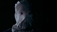 5 Hidden Gem Horror Movies: The Town That Dreaded Sundown (Image via American International Pictures)